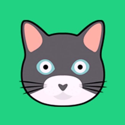 CatMouse.io