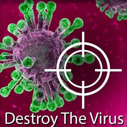 Destroy The Virus