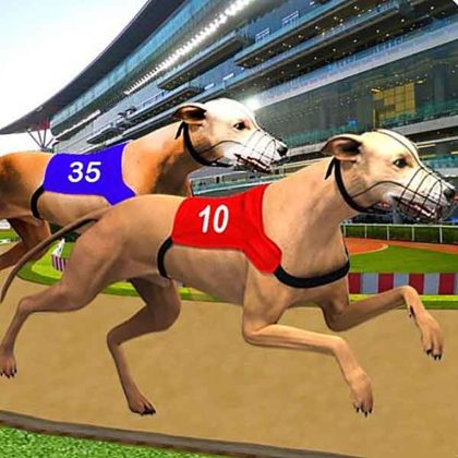 Dog Race Sim 2020 Dog Racing Games
