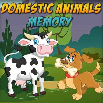 Domestic Animals Memory