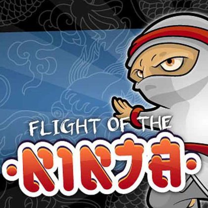Flight Of The Ninja