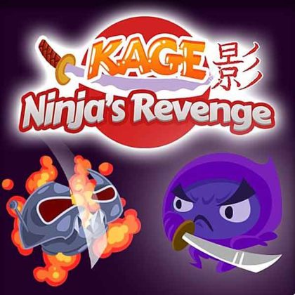 Kage Ninjas Revenge
