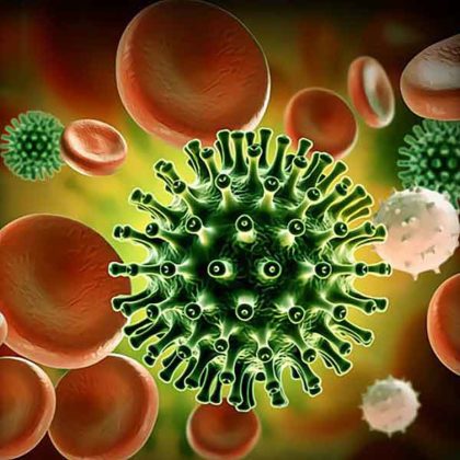 Coronavirus Slide